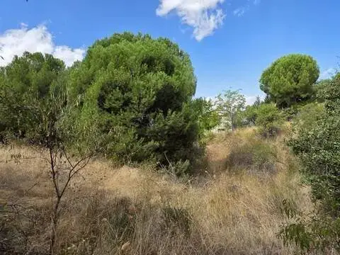 Terreno en Uceda
