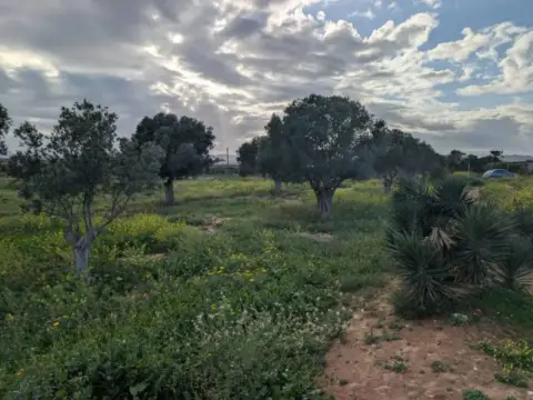Terreno en calle Barberos