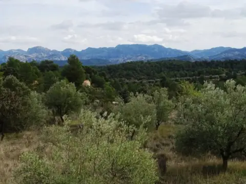 Terreno en Cretas