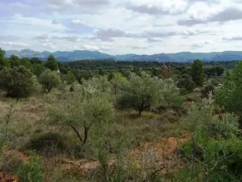 Terreno en Cretas