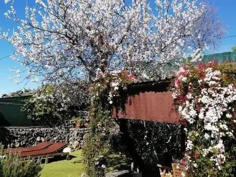 Casa rústica en Guía de Isora