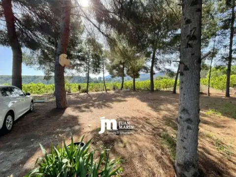Casa rústica en Cieza