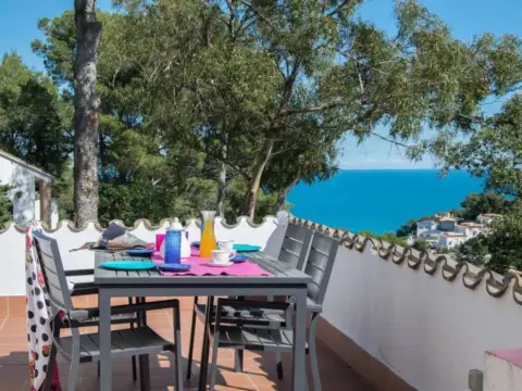 Chalet en calle Pasatge Joaquim Vayreda, 19 Sa Punta 63, 63