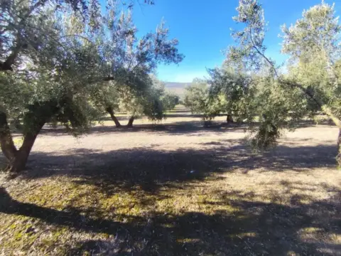 Terreno en Úbeda