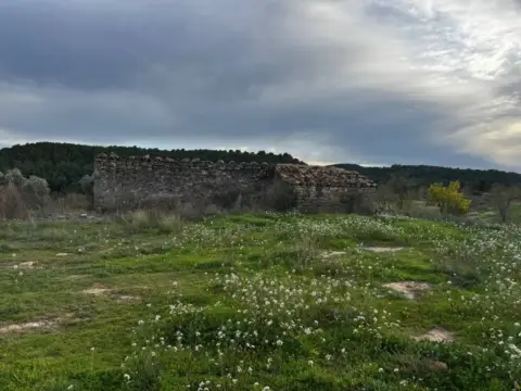 Terreno en Mazaleon