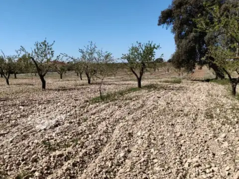 Terreno en calle calle Carretera de Almontaras, 58