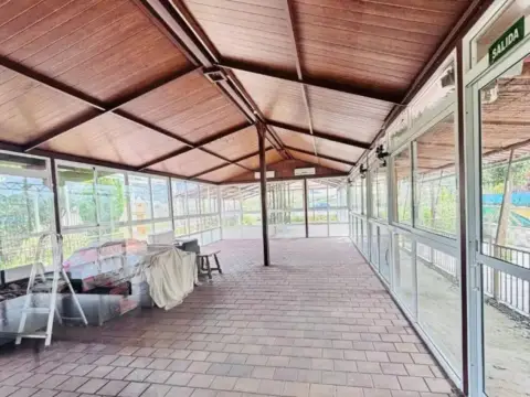 Local comercial en Murcia Capital