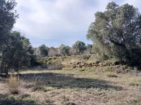 Terreno en calle N-A, -1