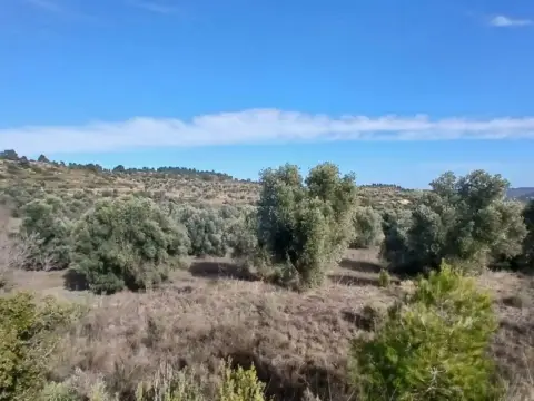 Terreno en calle N-A, -1