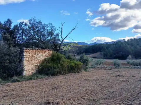 Terreno en calle N-A, -1