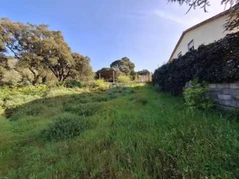 Terreno en O Pereiro de Aguiar
