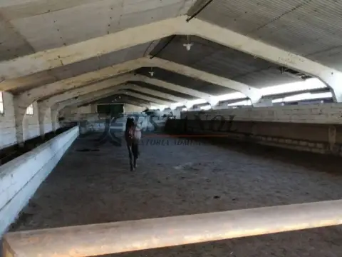 Nave industrial en La Seu d'Urgell