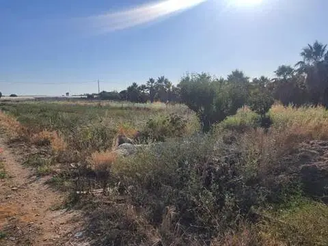 Terreno en Centro-Zona Noreste