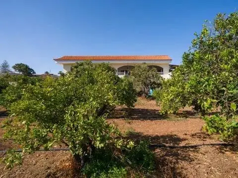 Chalet en Ingenio