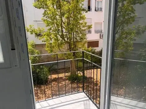 Piso – Palma