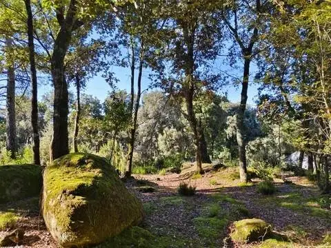 Chalet en Sant Aniol de Finestres