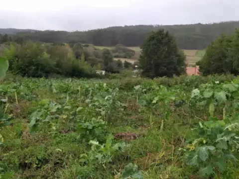 Terreno en Malpica de Bergantiños