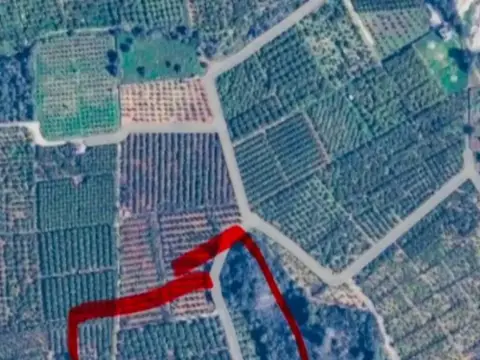 Terreno en Oliva