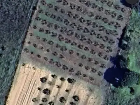 Terreno en Gibraleón