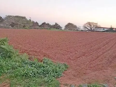 Terreno en calle de Majada las Vacas