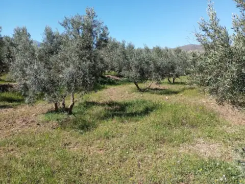 Terreno en Baza