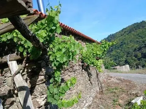 Casa rústica en calle Lugar de San Xulian S-N