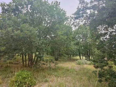 Terreno en Seixalbo-Monte-Ceboliño-Velle