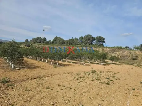 Nave industrial en Xerta