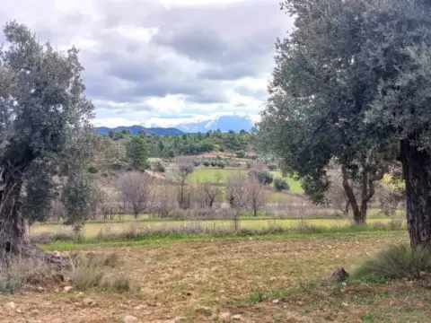Terreno en calle Carretera Tortosa, 3