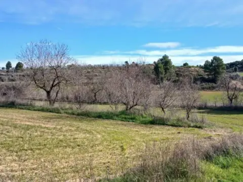 Terreno en calle Carretera Tortosa, 3