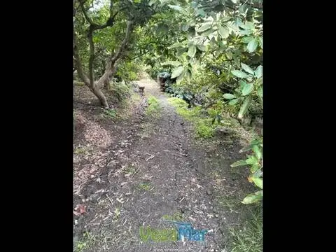 Terreno en Casco Urbano