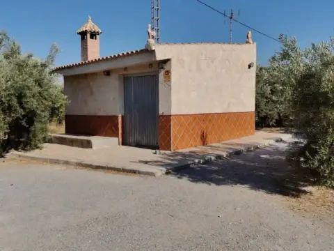 Chalet en calle Camino San Tizo, 1S