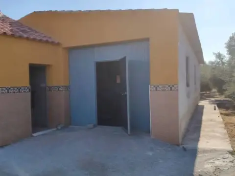 Chalet en calle Camino San Tizo, 1S