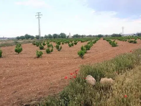 Terreno en Mahora