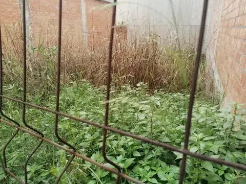 Terreno en calle El Carrer de Manuel Soler, 22