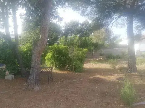 Terreno en Carrer del Narcís