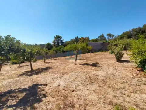 Terreno en Coles (Capital)