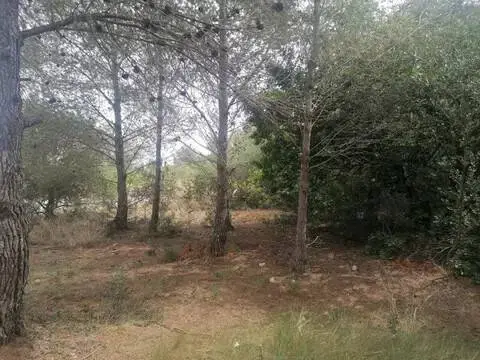 Terreno en Carrer de Felip Pedrell