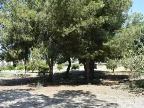 Chalet en Matola-La Foia-Las Bayas-La Marina