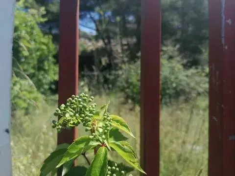 Terreno en Carrer de Tuca