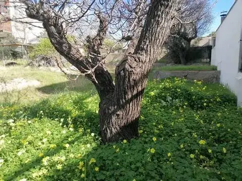 Terreno en Carrer de l'Oceà Atlàntic