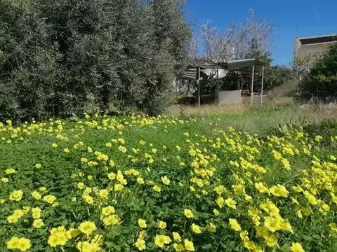 Terreno en Carrer de l'Oceà Atlàntic