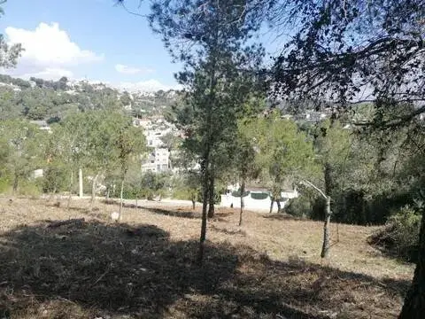 Terreno en Carrer Crisantem