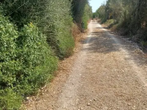 Terreno en Felanitx