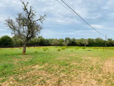 Terreno en Felanitx