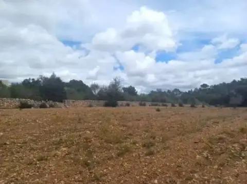 Terreno en Felanitx