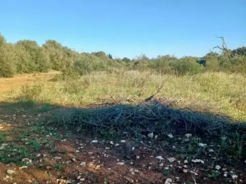Terreno en Felanitx