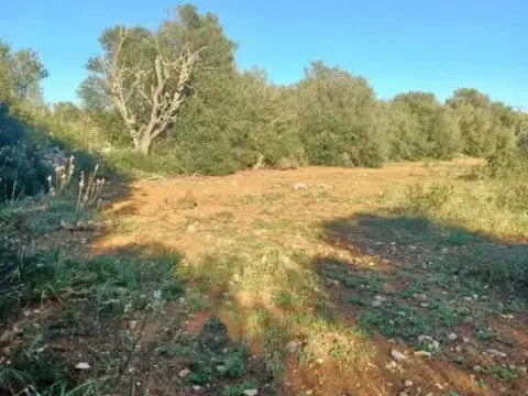 Terreno en Felanitx