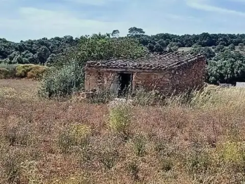 Terreno en Felanitx