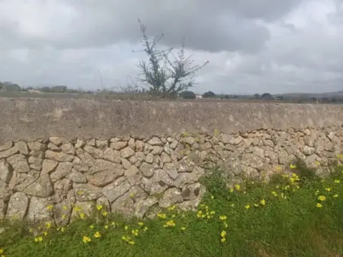 Terreno en Felanitx
